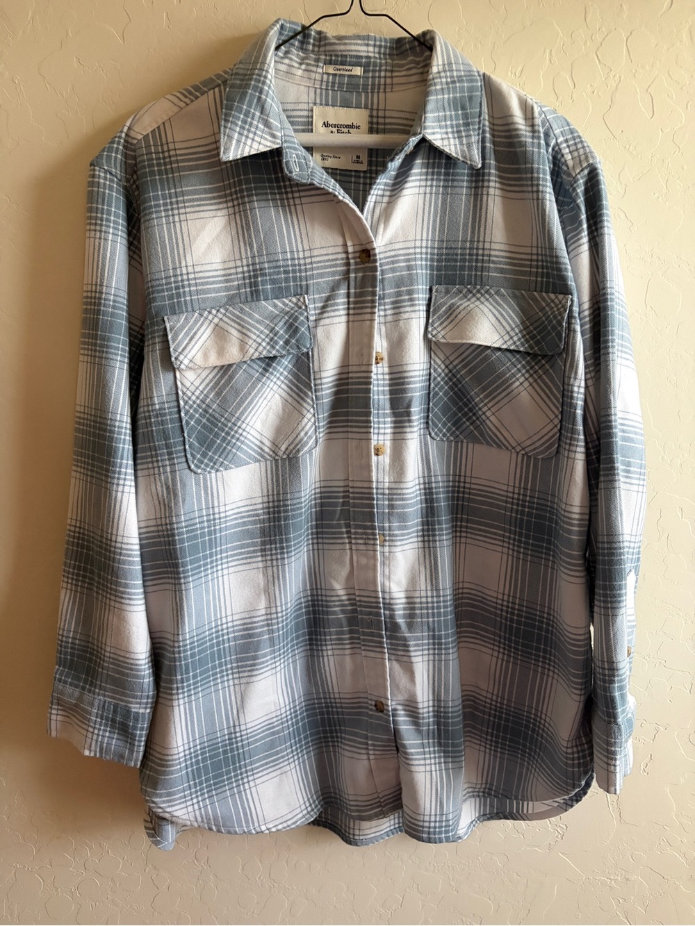 Abercrombie & Fitch Blue and White Plaid Button-Down Shirt